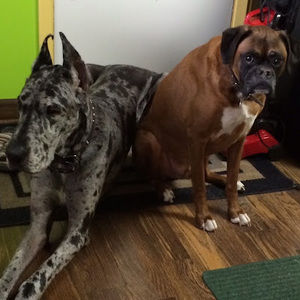 Meet your Posher, Valerie